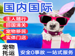 衢州航空邮寄国际宠物托运 【国